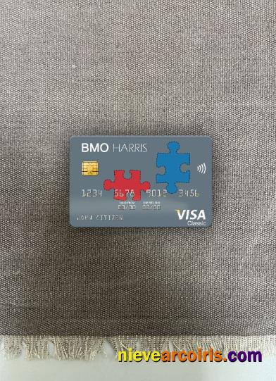 USA BMO Harris Bank visa card photolook